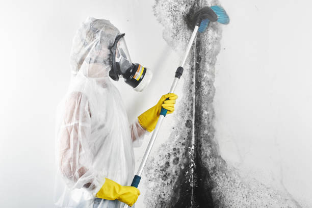 Best Comprehensive Air Testing for Mold Contaminants  in Winston, OR
