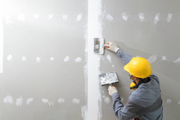 Best Biohazard Mold Removal  in Winston, OR